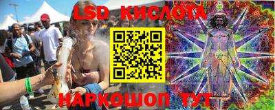 шишки Кингисепп