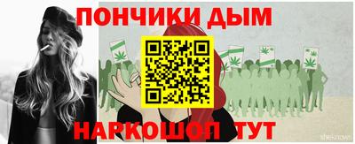 шишки Кингисепп