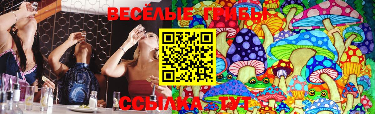 Галлюциногенные грибы GOLDEN TEACHER  Вход с VPN  Крымск  Галлюциногенные грибы мицелий 